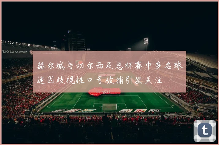赫尔城与切尔西足总杯赛中多名球迷因歧视性口号被捕引发关注