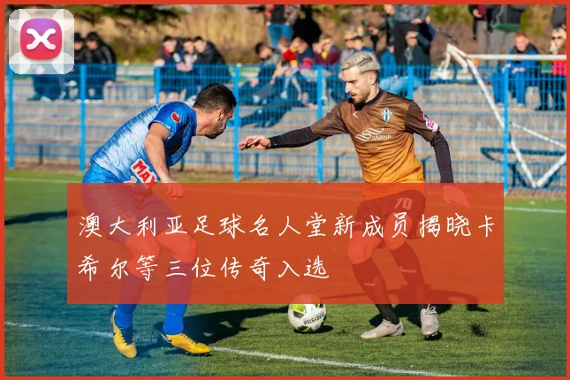 澳大利亚足球名人堂新成员揭晓卡希尔等三位传奇入选